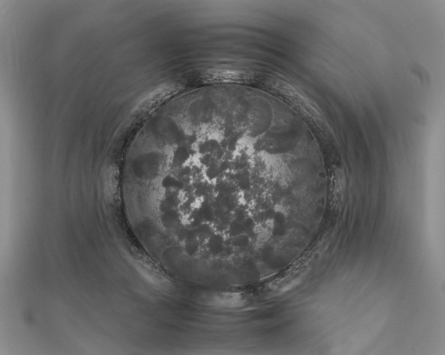 X0000111840361200907301055