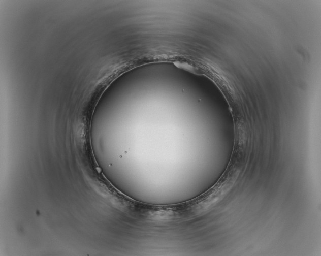 X0000111840362200907301055