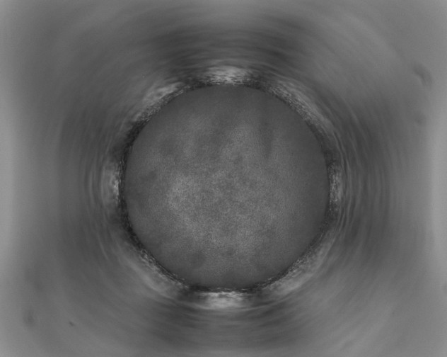 X0000111840363200907301055