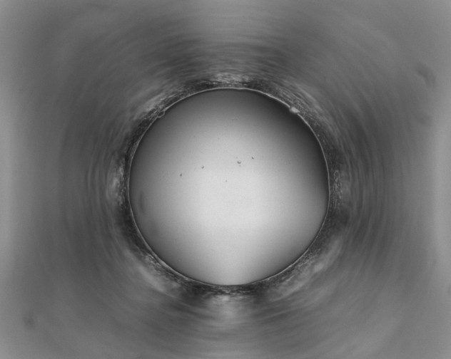 X0000111840364200907301055