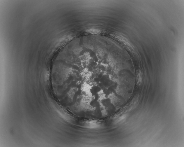 X0000111840365200907301055