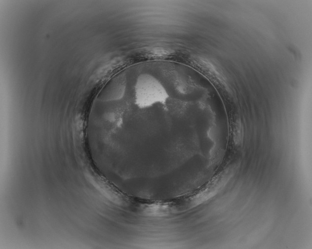 X0000111840366200907301055