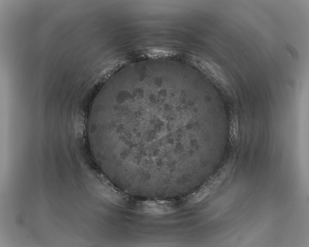 X0000111840367200907301055