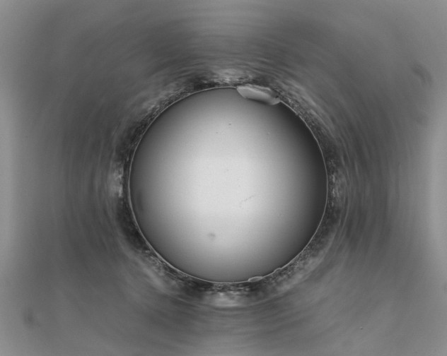 X0000111840368200907301055