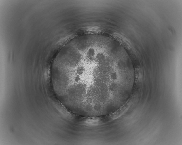 X0000111840369200907301055