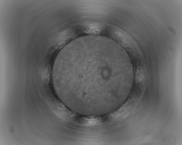 X0000111840370200907301055