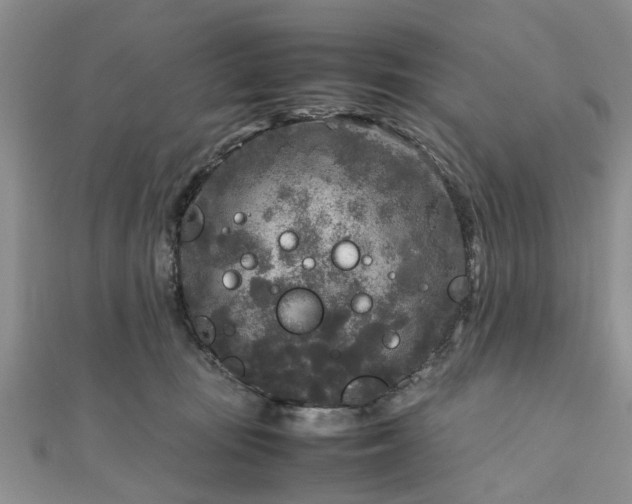 X0000111840371200907301055