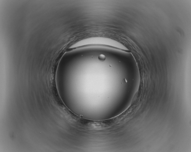 X0000111840372200907301055