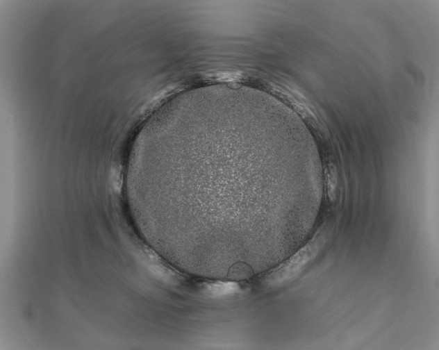 X0000111840374200907301055