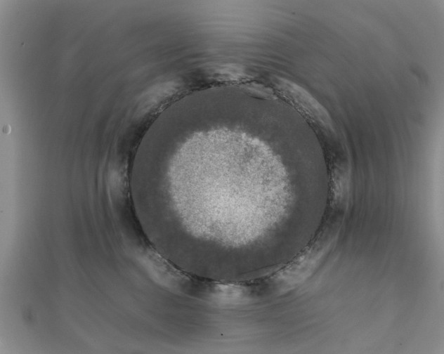 X0000111840376200907301055