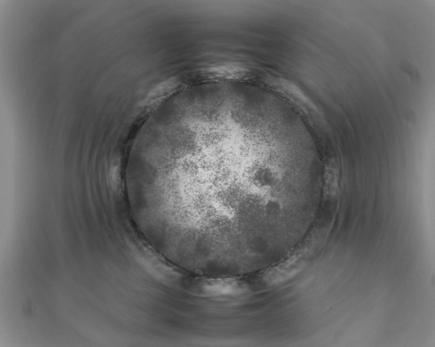 X0000111840377200907301055