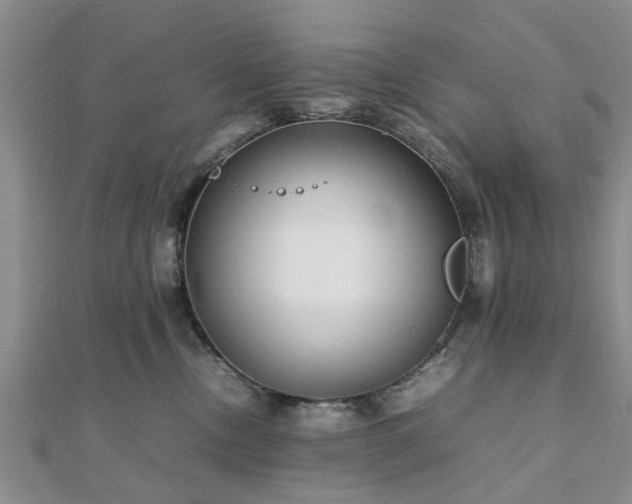 X0000111840378200907301055