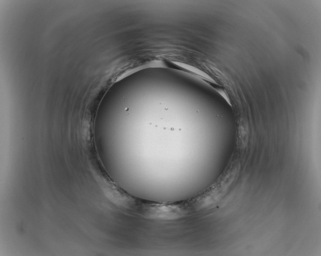 X0000111840379200907301055