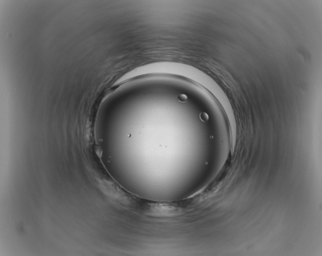 X0000111840380200907301055