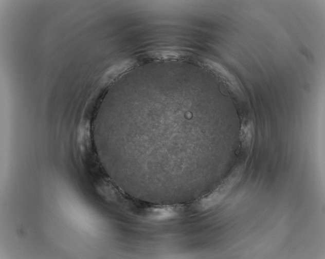 X0000111840381200907301055