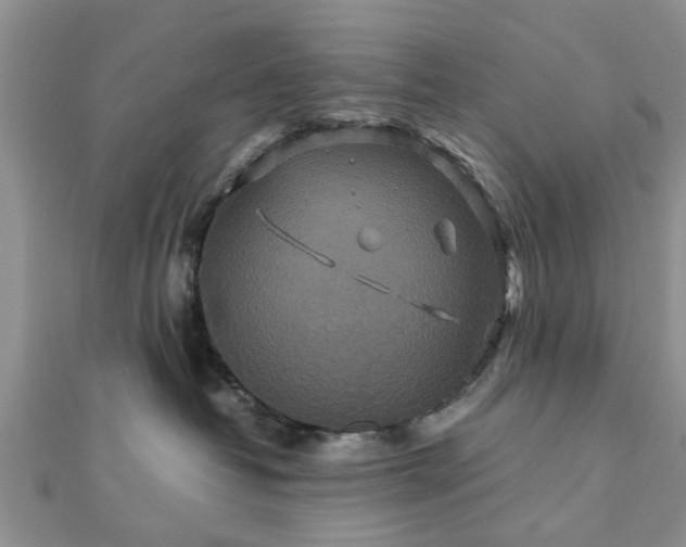 X0000111840382200907301055