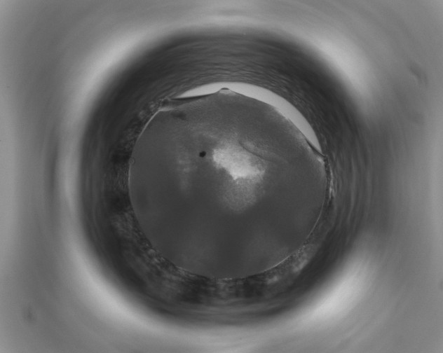 X0000111840383200907301055