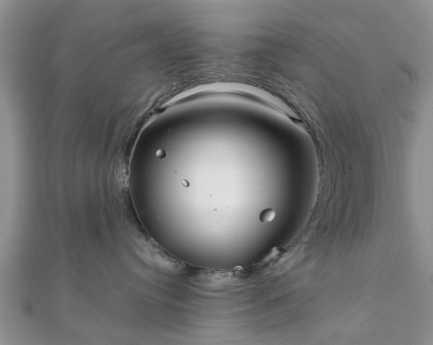 X0000111840384200907301055