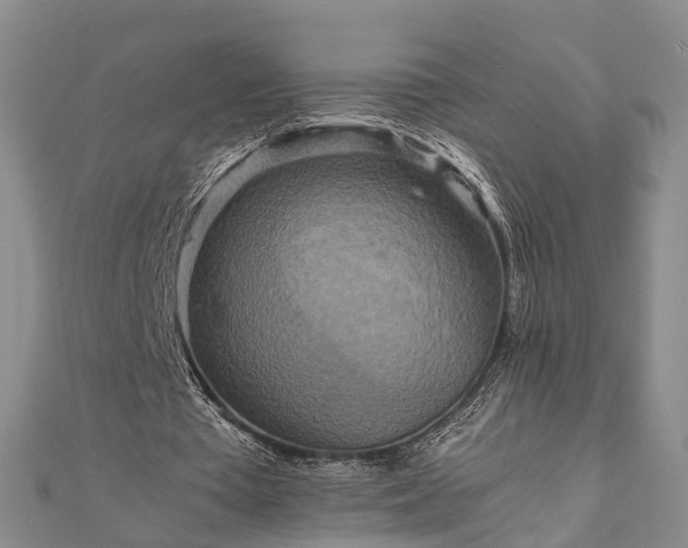 X0000111840385200907301054