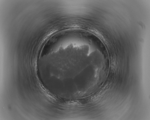 X0000111840386200907301054