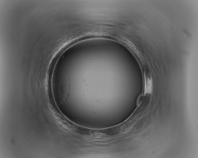 X0000111840387200907301054