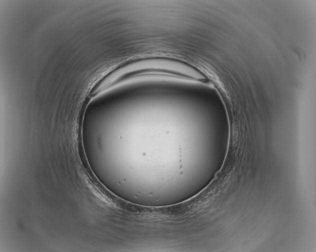 X0000111840389200907301054