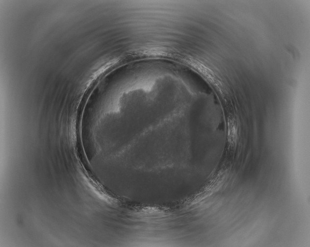 X0000111840390200907301054