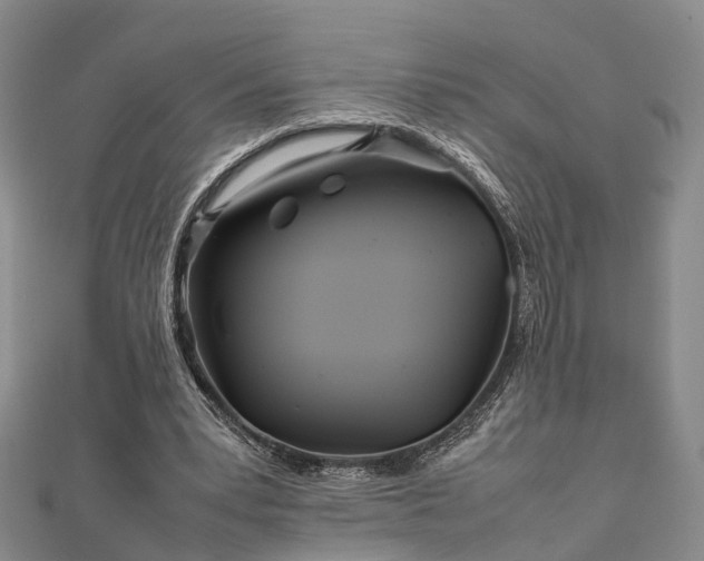 X0000111840391200907301054