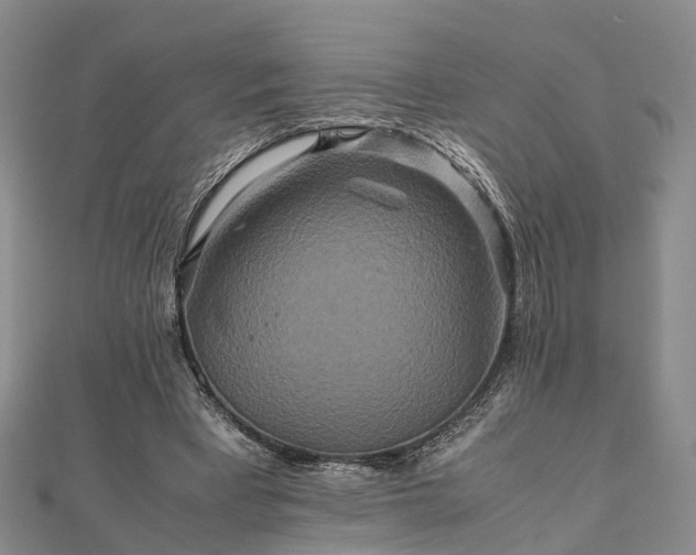 X0000111840393200907301054