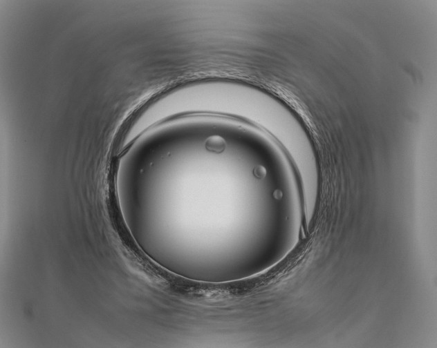 X0000111840395200907301054