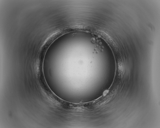 X0000111840396200907301054