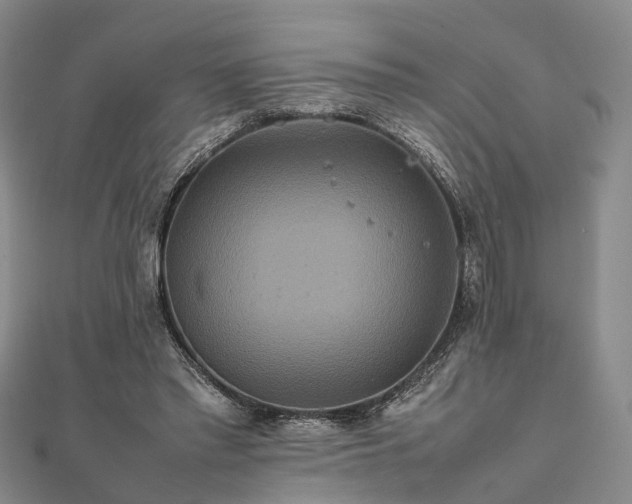 X0000111840397200907301054