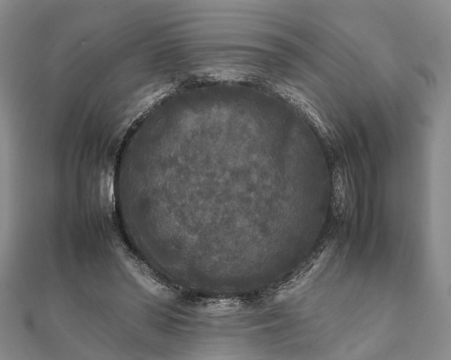 X0000111840398200907301054