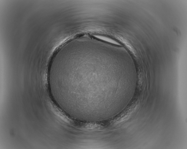 X0000111840399200907301054