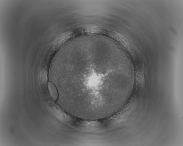 X0000111840401200907301054