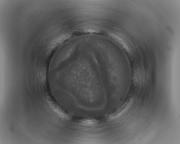 X0000111840402200907301054