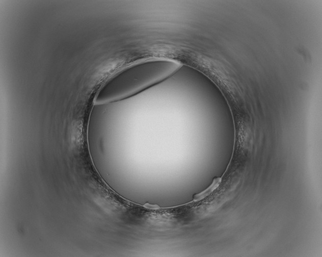 X0000111840403200907301054