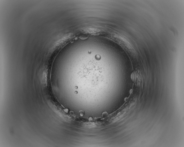 X0000111840404200907301054