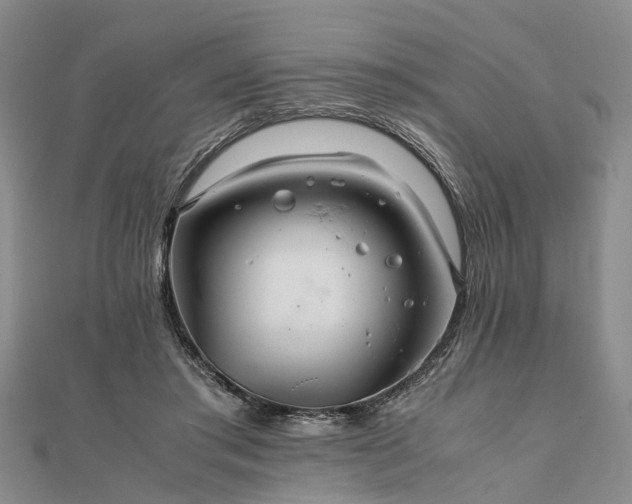 X0000111840405200907301054