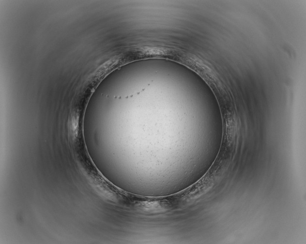 X0000111840406200907301054