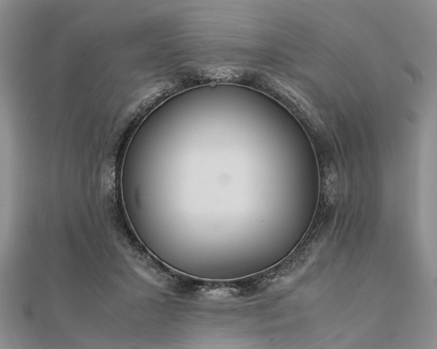 X0000111840407200907301054