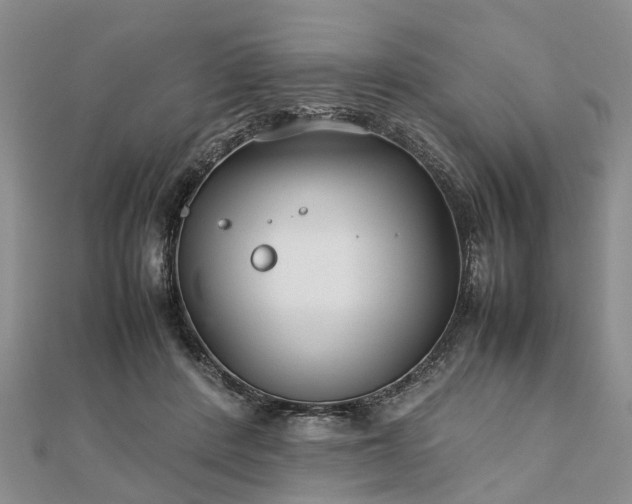 X0000111840408200907301054