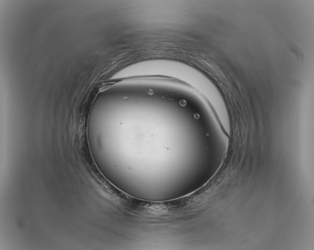 X0000111840409200907301054