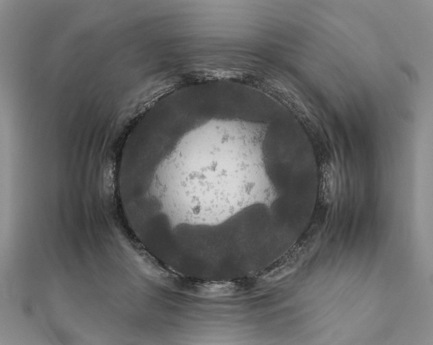 X0000111840410200907301054