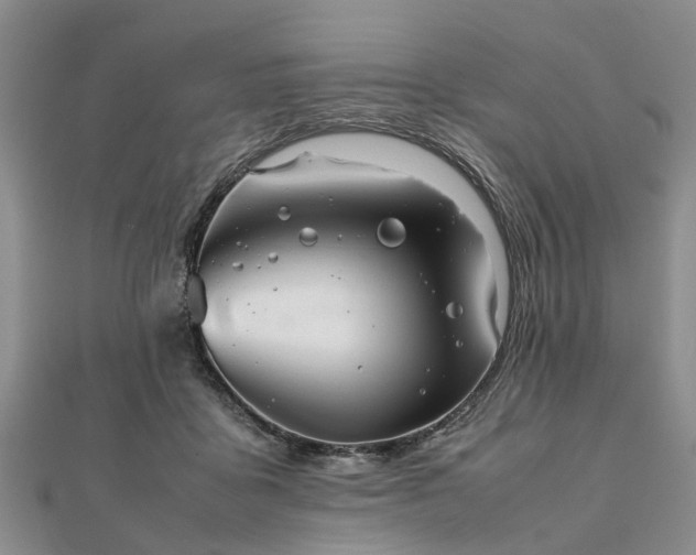 X0000111840411200907301054