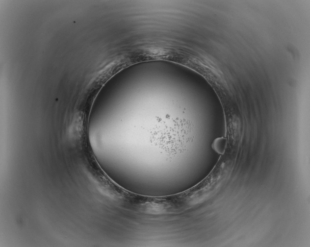 X0000111840412200907301054