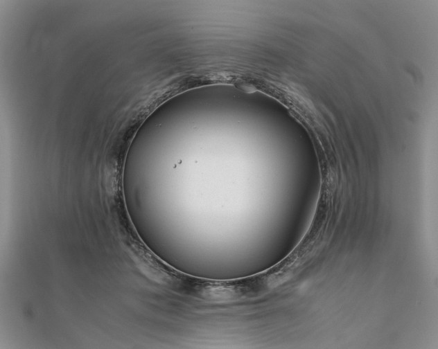 X0000111840413200907301054