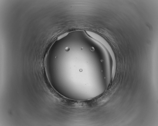 X0000111840415200907301054