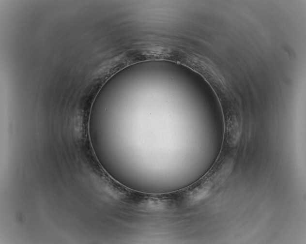 X0000111840416200907301054