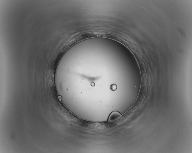 X0000111840421200907301054